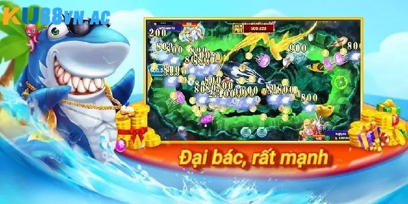 Mẹo săn cá bất bại